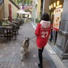 離岸小仙女Joey