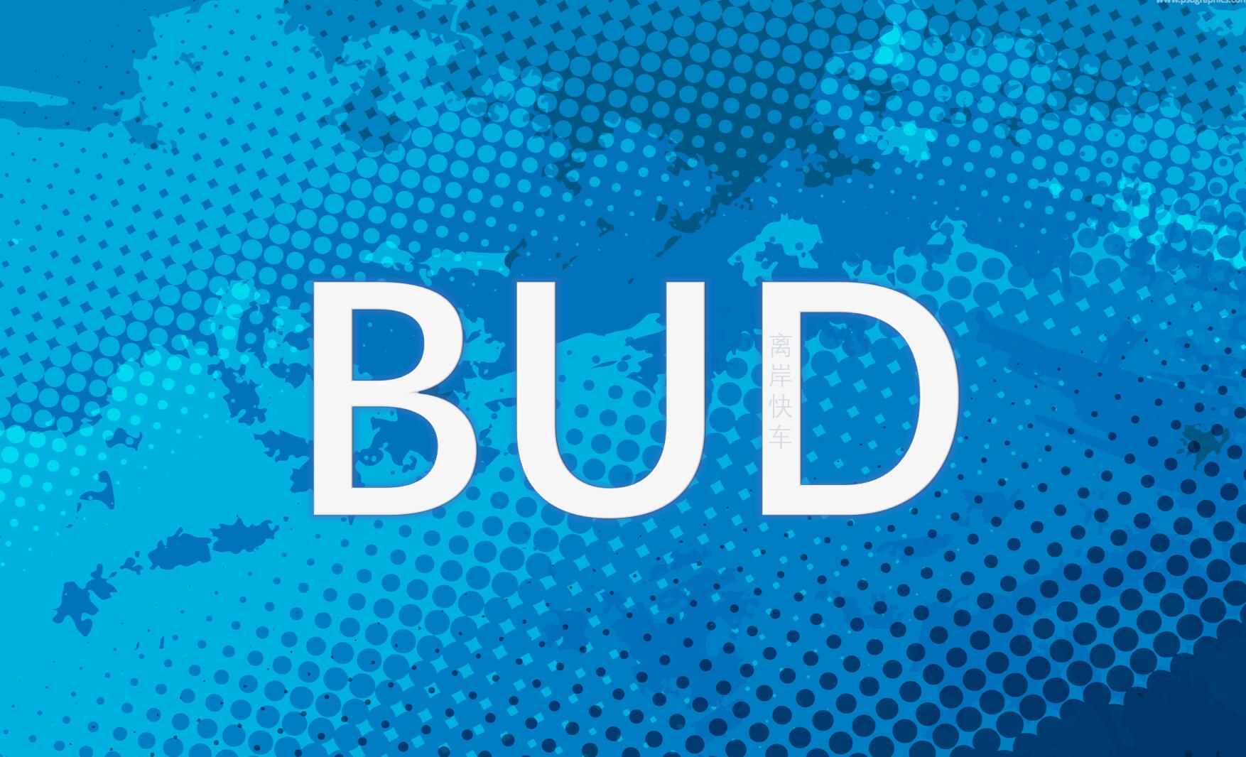 BUD專項基金